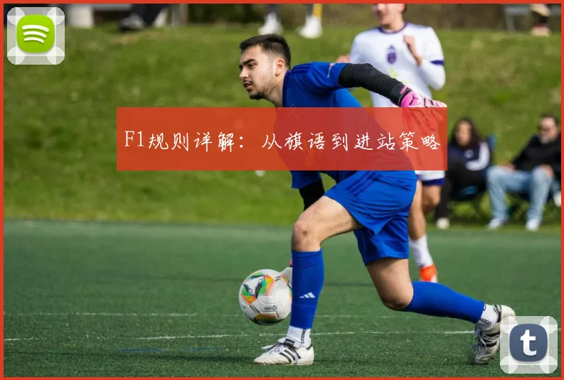 F1规则详解：从旗语到进站策略