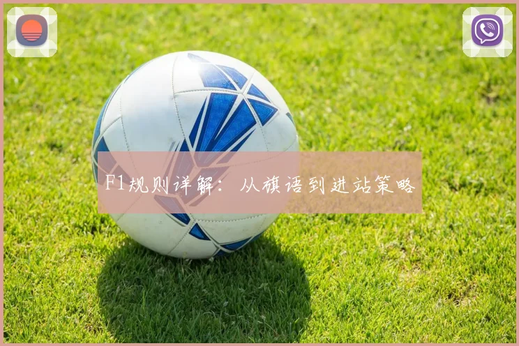 F1规则详解：从旗语到进站策略