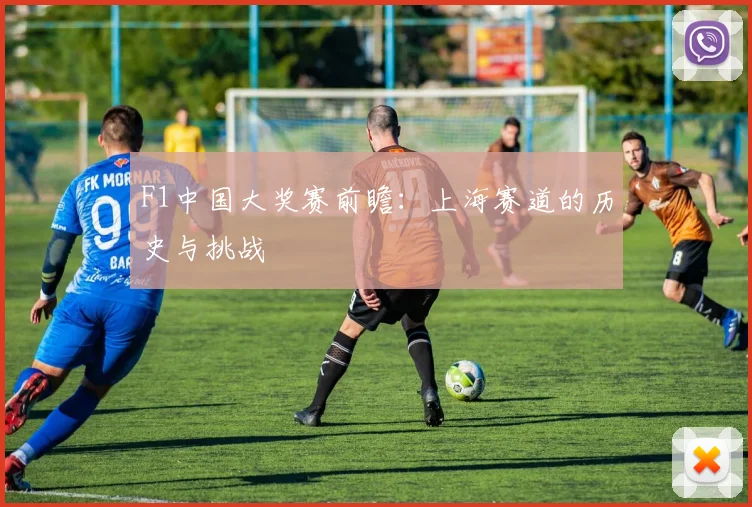 F1中国大奖赛前瞻：上海赛道的历史与挑战